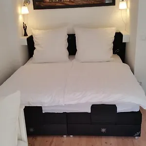 Apartment Oasis